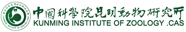 友情链接